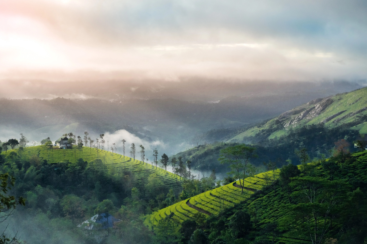 Chikmagalur, Karnataka