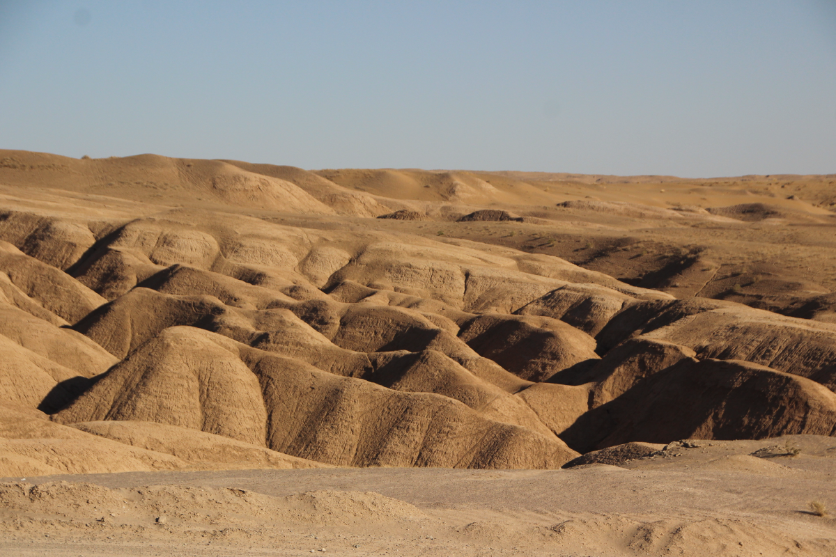 Desert Sands to City Discoveries